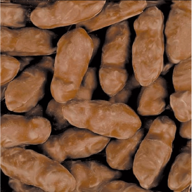 H. Souris Caramel Chocolat - 100g (Ballotin en option)