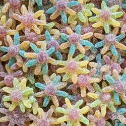 H. Octopus Pieuvre Sucré (par 100g)